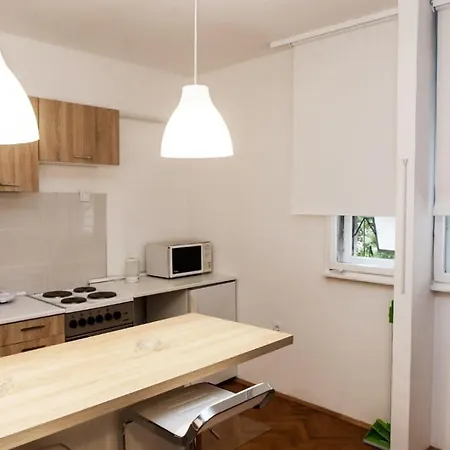 Apartment Dorcol Apartman Belgrade
